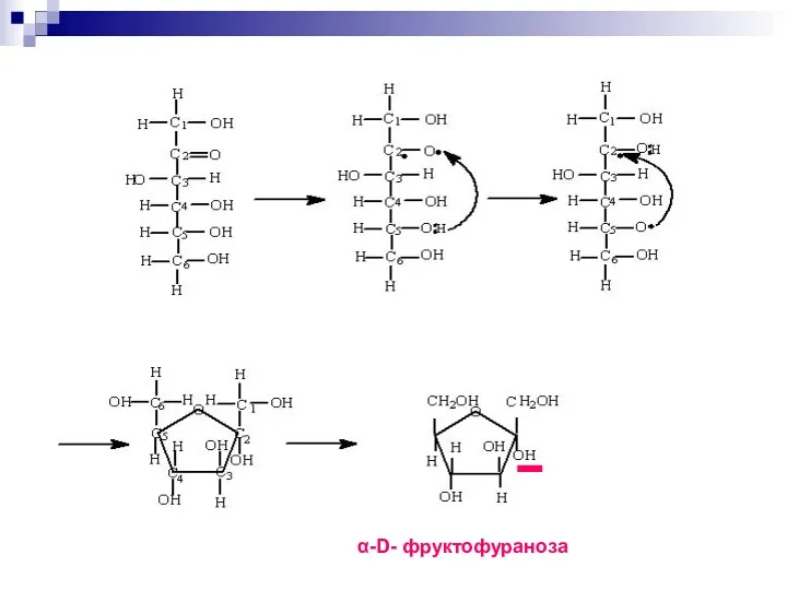 α-D- фруктофураноза