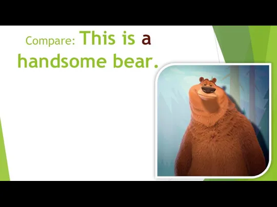 Compare: This is a handsome bear.