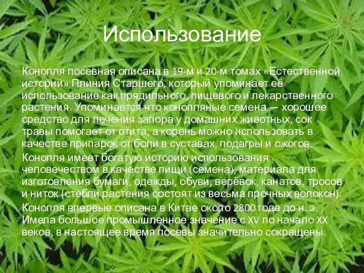 Использование Конопля посевная описана в 19-м и 20-м томах «Естественной