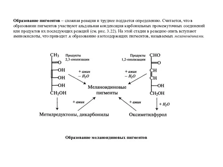 Образование пигментов – сложная реакция и труднее поддается определению. Считается,