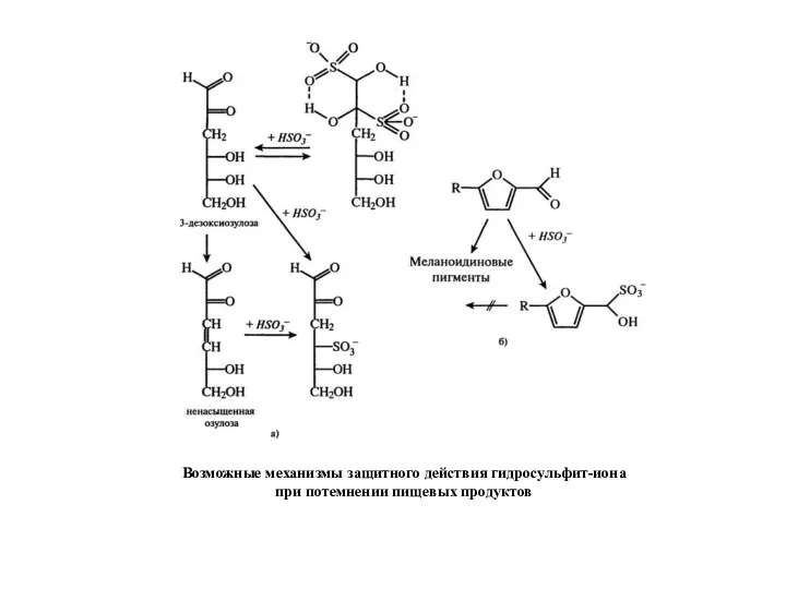 Возможные механизмы защитного действия гидросульфит-иона при потемнении пищевых продуктов
