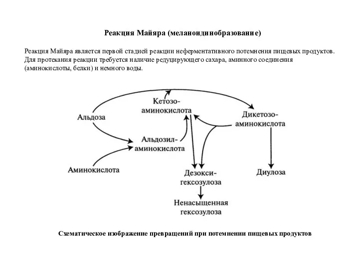 Реакция Майяра (меланоидинобразование) Реакция Майяра является первой стадией реакции неферментативного