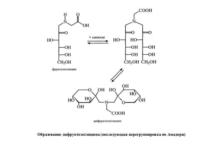 Образование дифруктозоглицина (последующая перегруппировка по Амадори)