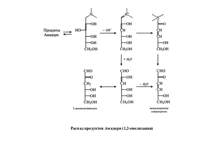 Распад продуктов Амадори (1,2-енолизация)