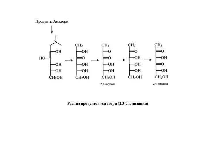 Распад продуктов Амадори (2,3-енолизация)