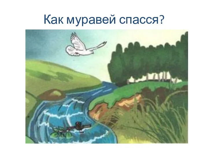 Как муравей спасся?