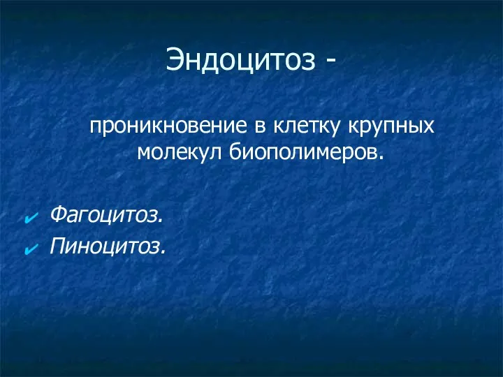 Эндоцитоз - проникновение в клетку крупных молекул биополимеров. Фагоцитоз. Пиноцитоз.