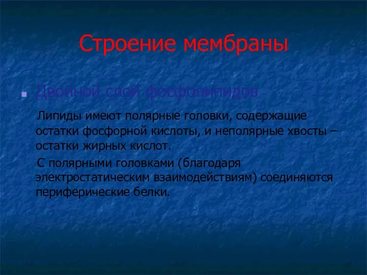 Строение мембраны Двойной слой фосфолипидов Липиды имеют полярные головки, содержащие