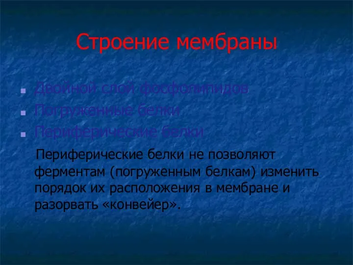 Строение мембраны Двойной слой фосфолипидов Погруженные белки Периферические белки Периферические