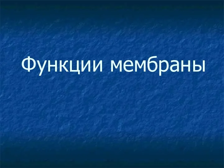 Функции мембраны