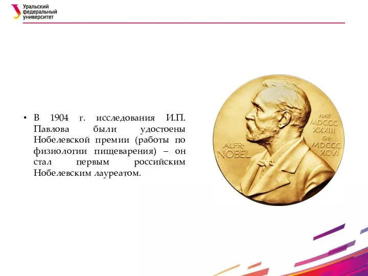 В 1904 г. исследования И.П. Павлова были удостоены Нобелевской премии