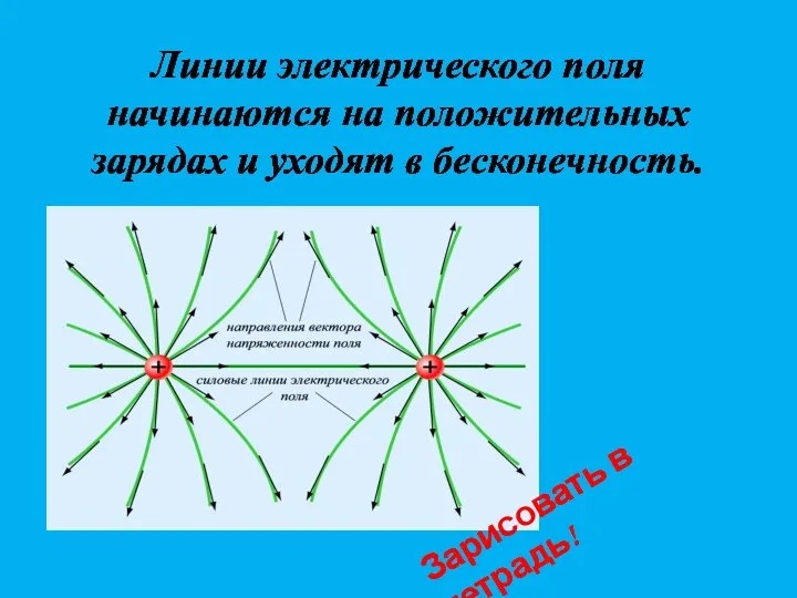 Линии электрического поля начинаются на положительных зарядах и уходят в бесконечность. Зарисовать в тетрадь!