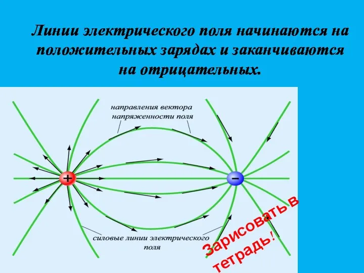 Линии электрического поля начинаются на положительных зарядах и заканчиваются на отрицательных. Зарисовать в тетрадь!