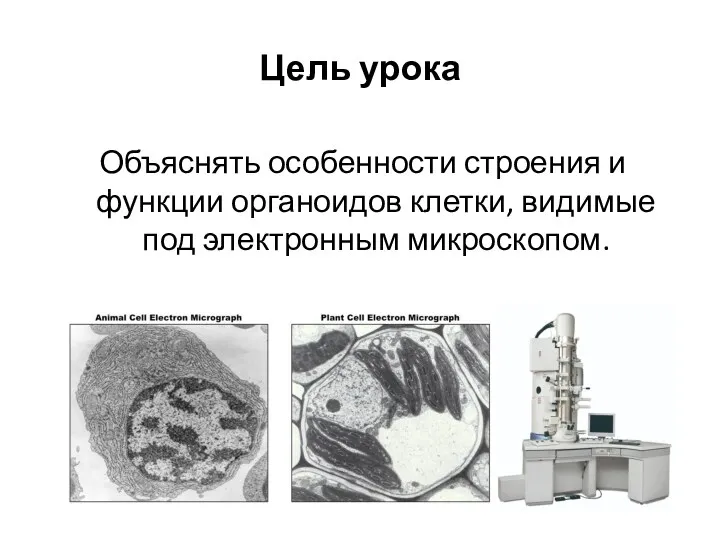 Цель урока Объяснять особенности строения и функции органоидов клетки, видимые под электронным микроскопом.