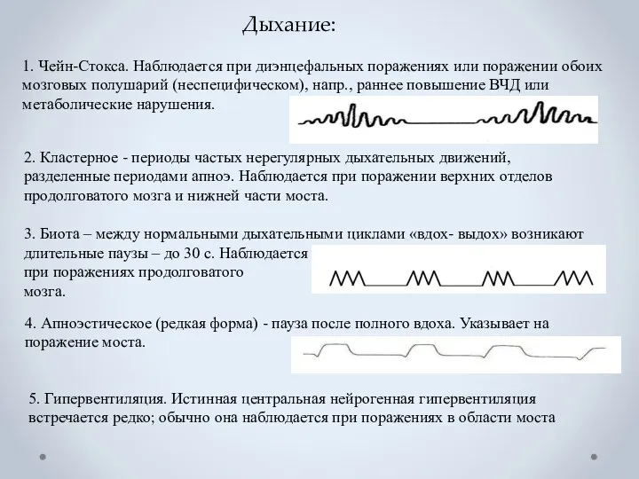 Дыхание: 1. Чейн-Стокса. Наблюдается при диэнцефальных поражениях или поражении обоих