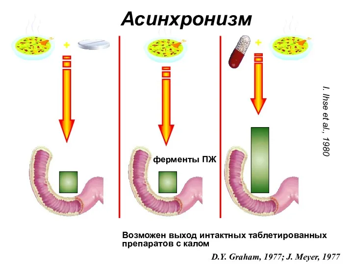 Асинхронизм I. Ihse et al., 1980 + + ферменты ПЖ