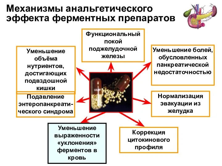 Механизмы анальгетического эффекта ферментных препаратов Функциональный покой поджелудочной железы Подавление энтеропанкреати-ческого синдрома Уменьшение