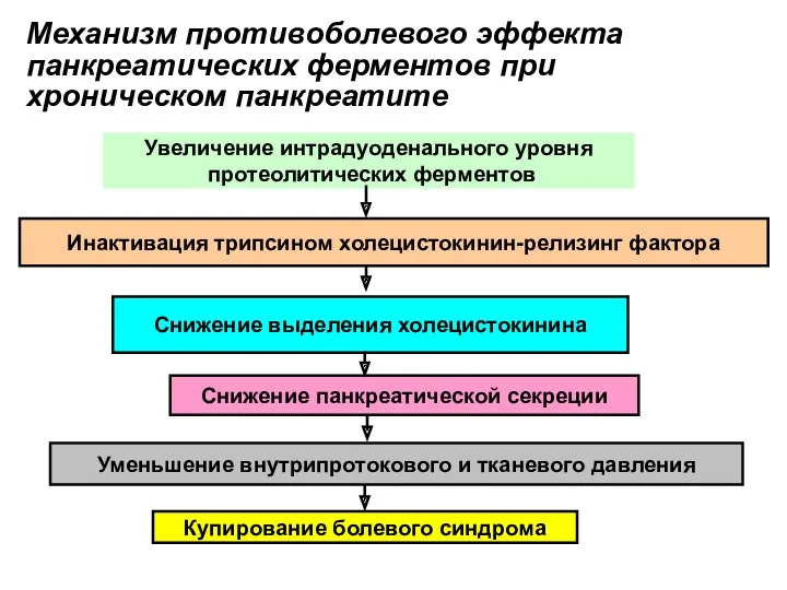 Механизм противоболевого эффекта панкреатических ферментов при хроническом панкреатите Увеличение интрадуоденального уровня протеолитических ферментов