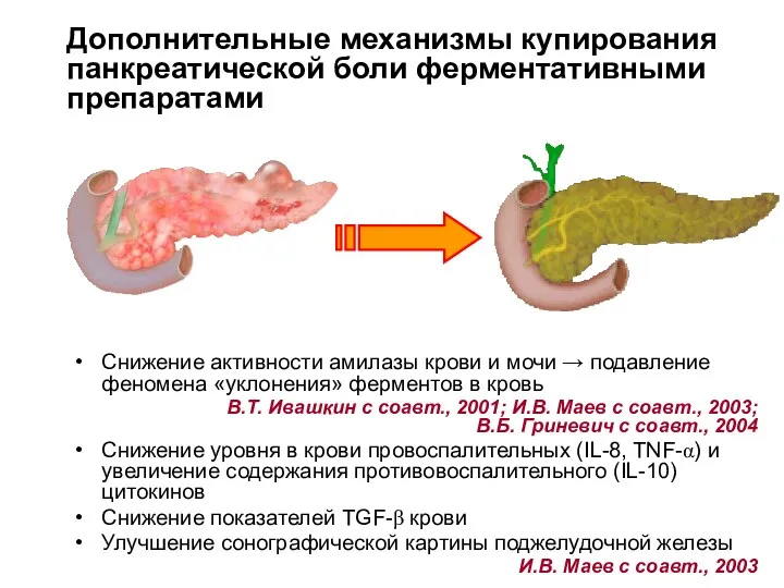 Дополнительные механизмы купирования панкреатической боли ферментативными препаратами Снижение активности амилазы крови и мочи