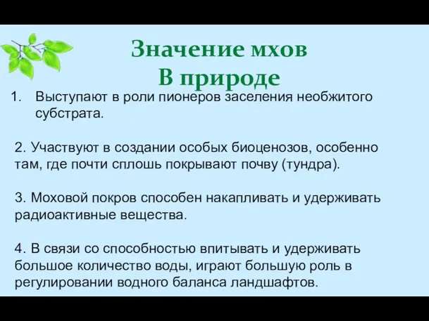 Значение мхов В природе Выступают в роли пионеров заселения необжитого