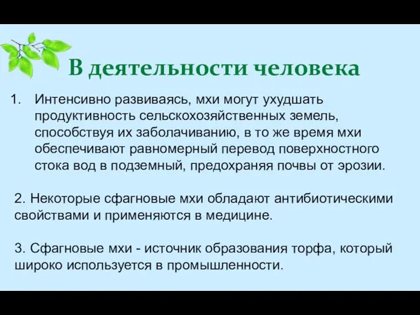 В деятельности человека Интенсивно развиваясь, мхи могут ухудшать продуктивность сельскохозяйственных