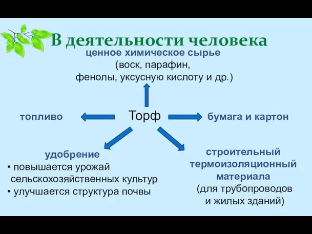 В деятельности человека ценное химическое сырье (воск, парафин, фенолы, уксусную