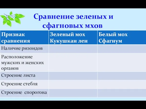 Сравнение зеленых и сфагновых мхов