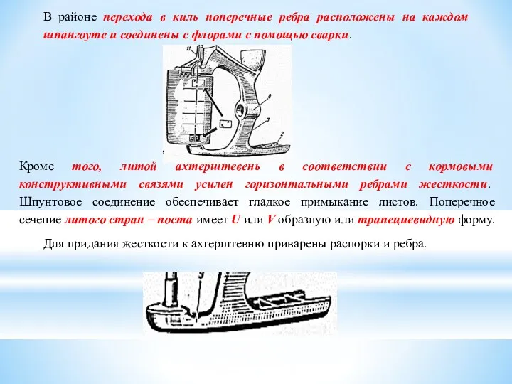 В районе перехода в киль поперечные ребра расположены на каждом