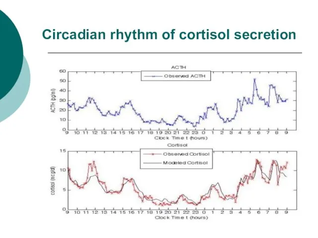 Circadian rhythm of cortisol secretion