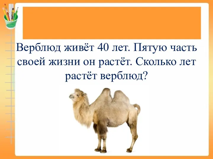 Задачи на нахождение доли (дроби) от числа Верблюд живёт 40