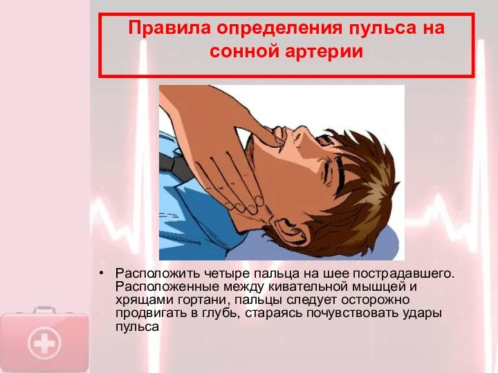 Правила определения пульса на сонной артерии Расположить четыре пальца на