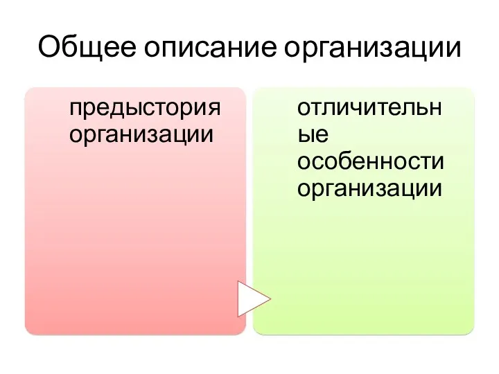 Общее описание организации