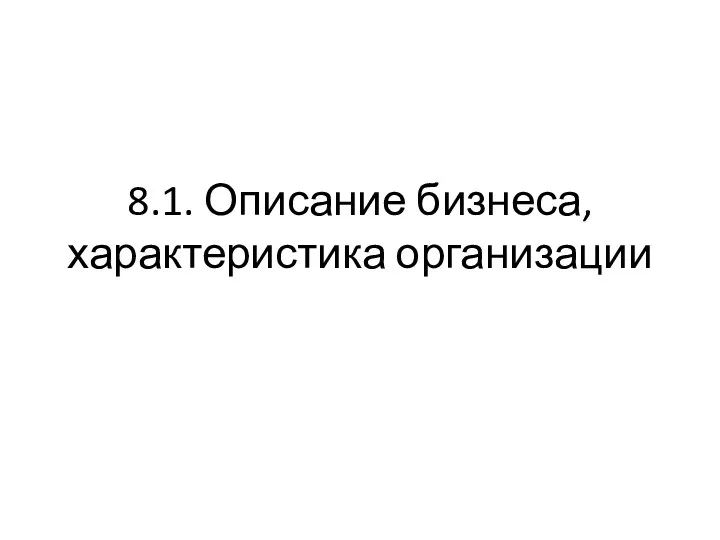 8.1. Описание бизнеса, характеристика организации