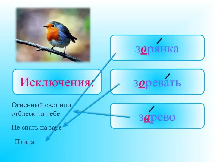 Исключения: зоревать зарево зорянка Не спать на заре Птица Огненный свет или отблеск на небе