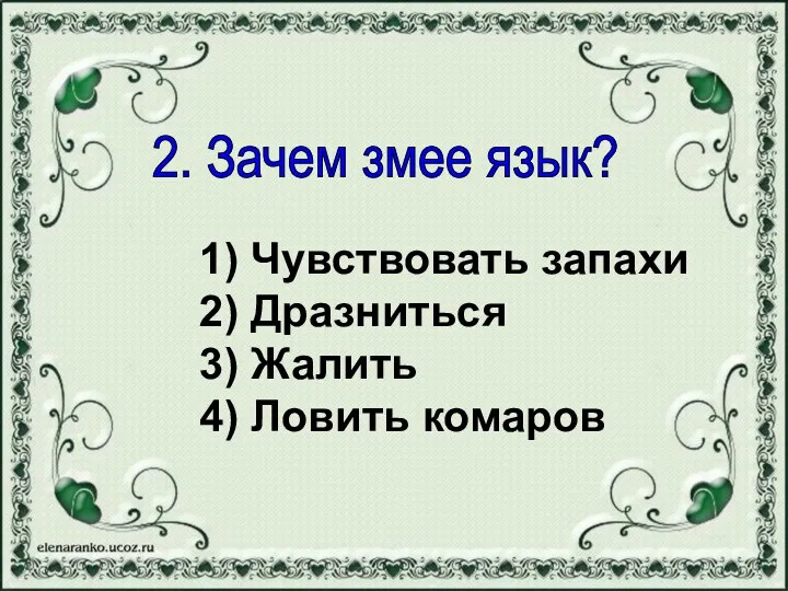 1) Чувствовать запахи 2) Дразниться 3) Жалить 4) Ловить комаров 2. Зачем змее язык?