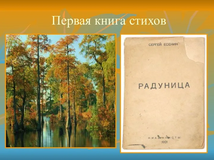 Первая книга стихов