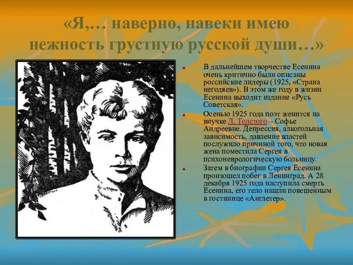 «Я,… наверно, навеки имею нежность грустную русской души…» В дальнейшем