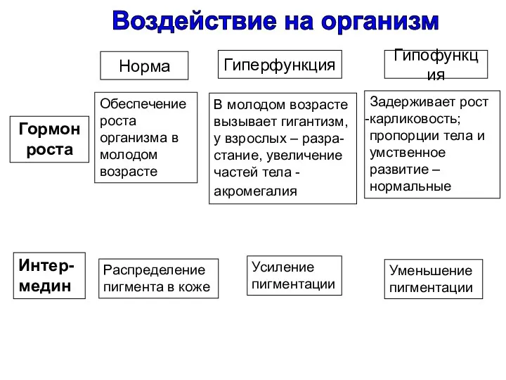 Норма Гиперфункция Гипофункция Гормон роста Обеспечение роста организма в молодом