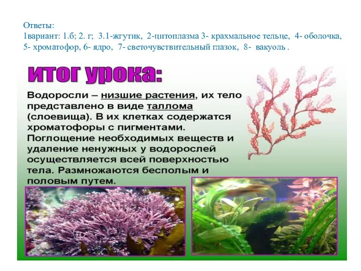 Ответы: 1вариант: 1.б; 2. г; 3.1-жгутик, 2-цитоплазма 3- крахмальное тельце,