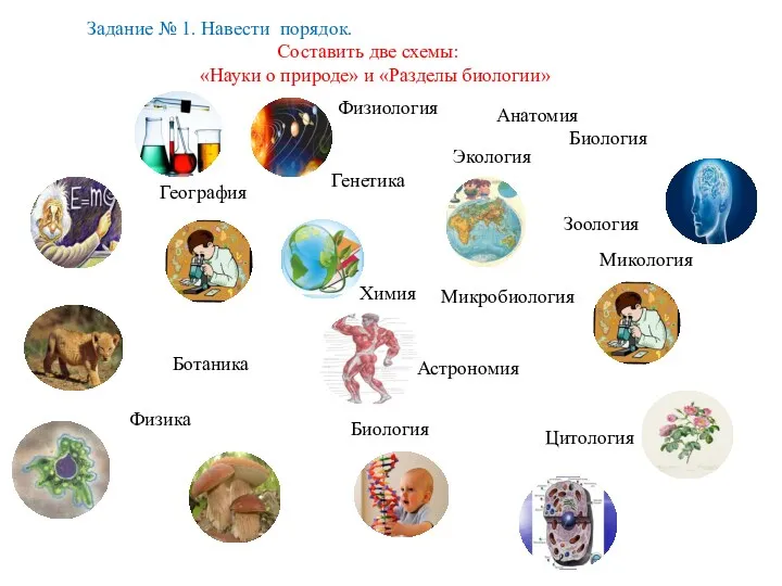 Экология Биология Ботаника Зоология Микология Микробиология Цитология Анатомия Физиология Генетика