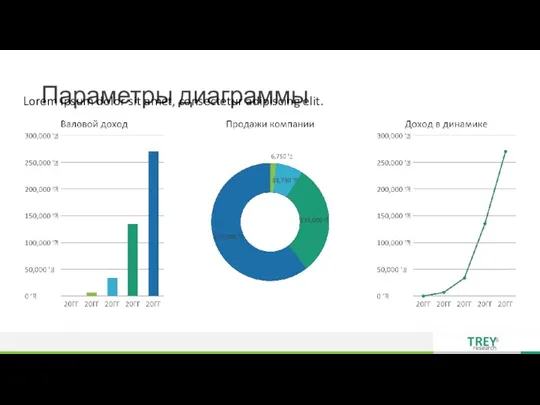 Параметры диаграммы Lorem ipsum dolor sit amet, consectetur adipiscing elit.