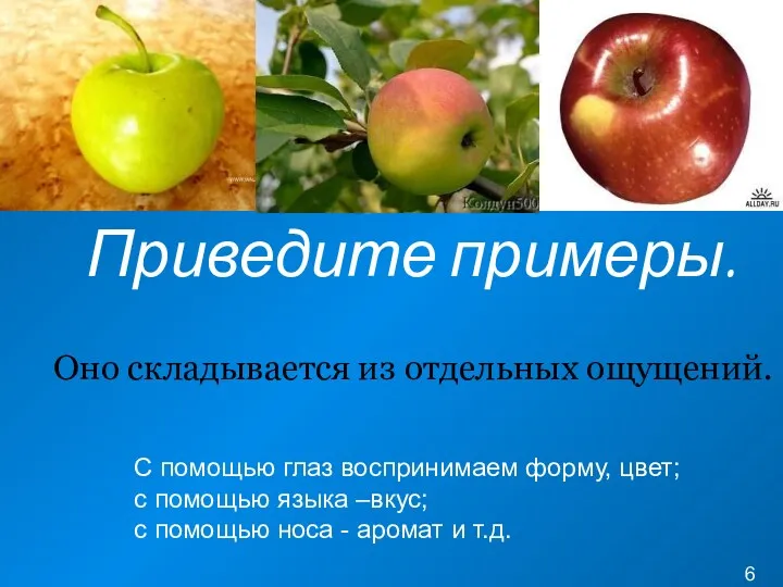 Из чего складывается восприятие? Приведите примеры. Оно складывается из отдельных