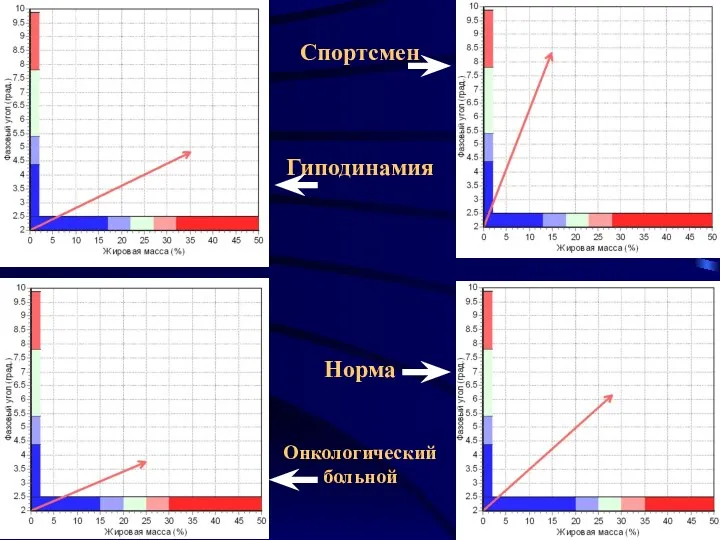 * Спортсмен Гиподинамия Норма Онкологический больной