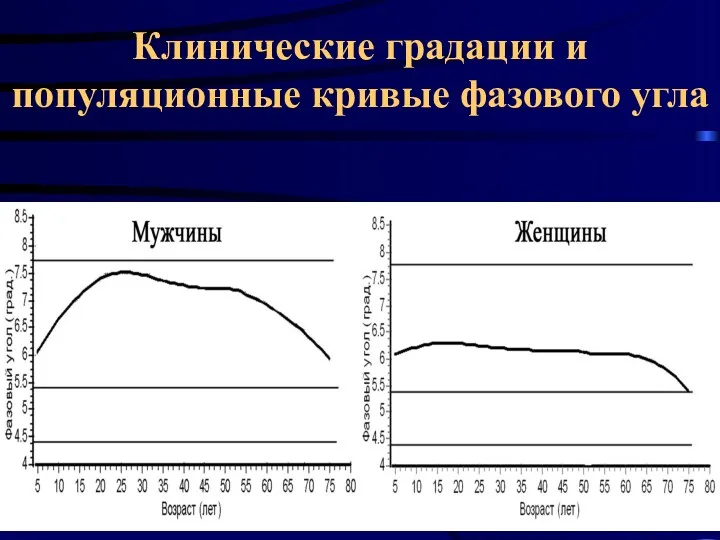 * Клинические градации и популяционные кривые фазового угла