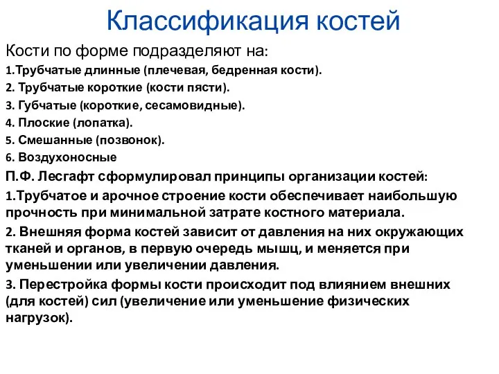 Классификация костей Кости по форме подразделяют на: 1.Трубчатые длинные (плечевая,