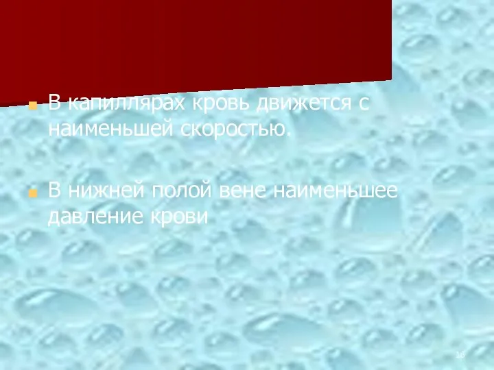 В капиллярах кровь движется с наименьшей скоростью. В нижней полой вене наименьшее давление крови