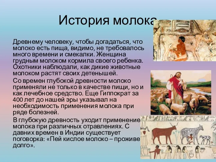История молока Древнему человеку, чтобы догадаться, что молоко есть пища,