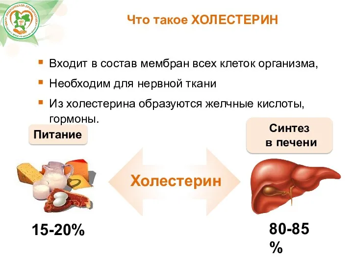 Что такое ХОЛЕСТЕРИН Холестерин 15-20% Синтез в печени 80-85% Питание