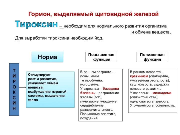 Гормон, выделяемый щитовидной железой – необходим для нормального развития организма