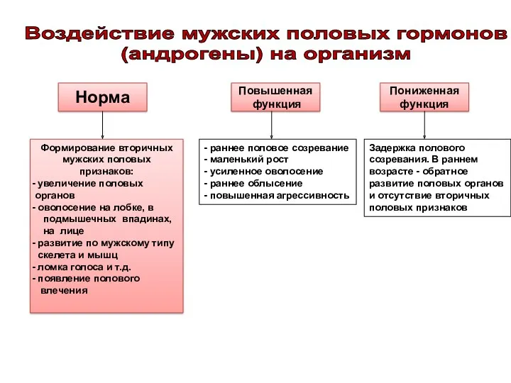 Норма Повышенная функция Пониженная функция Формирование вторичных мужских половых признаков: